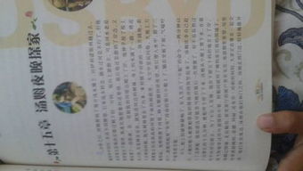 汤姆索亚历险记读书笔记优秀