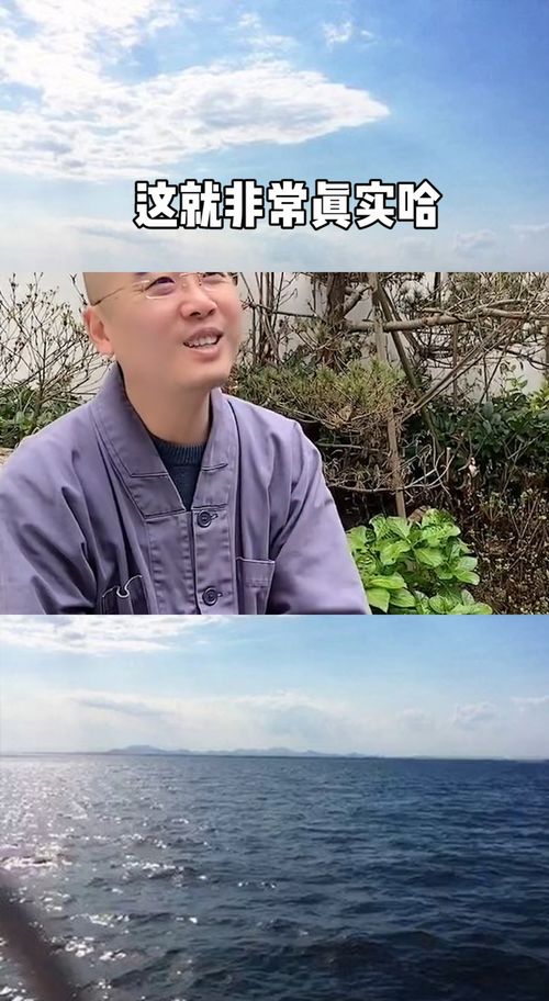 自顾不暇是什么意思