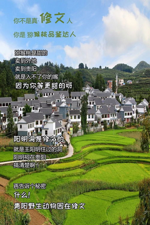 开阳县属于哪个市