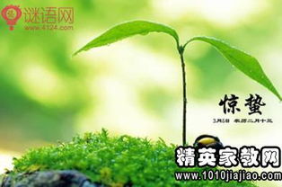 节气谚语大全100条，节气谚语书签