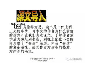 窃读记的全部原文