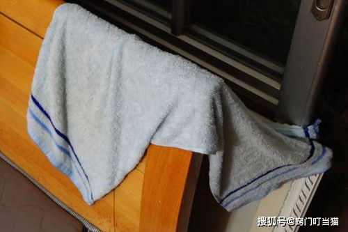 树上挂着白毛巾’是什么字谜