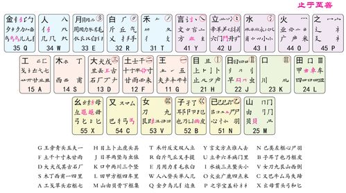 繁衍滋长的拼音，滋长的拼音 词组