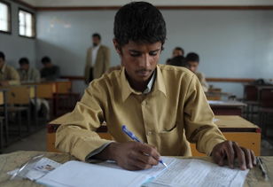 illiteracy rate，illiteracy3