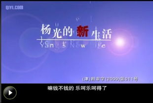 杨议有几部快乐生活