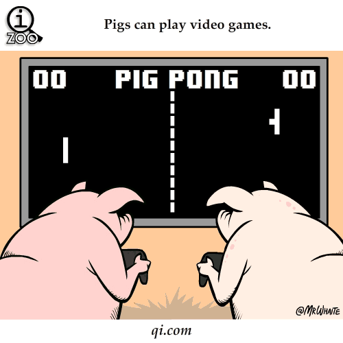 Paradoxical Frog是什么意思