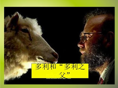 神奇的克隆第八小节中装配加上引号其特殊含义是，神奇的克隆阅读答案四年级