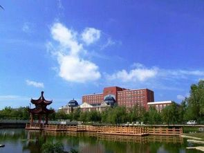 东北大学秦皇岛分校图书馆馆长，东北大学秦皇岛分校图书馆远程访问