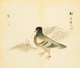 桑之未落,其叶沃若。于嗟鸠兮,无食桑葚。于嗟女兮,无与士耽。意思
