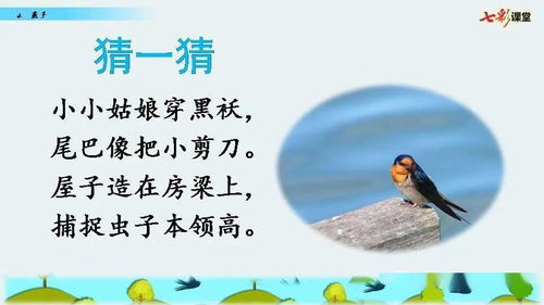 柔柳拼音怎么读，柔拼音和意思