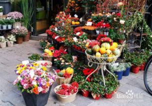 如何开好花店