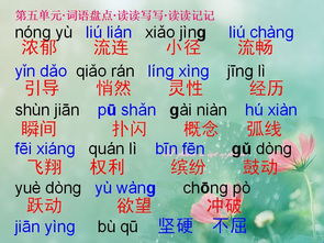 各可以组什么词语