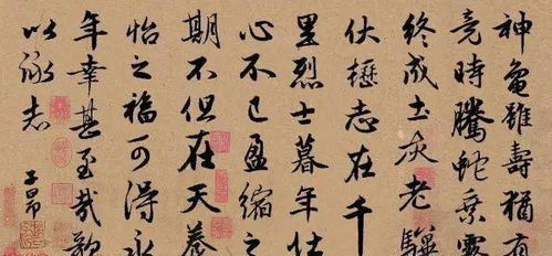 《龟虽寿》的翻译