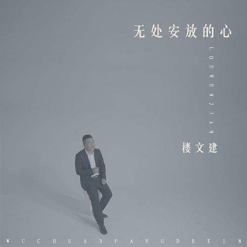 无处安放歌词