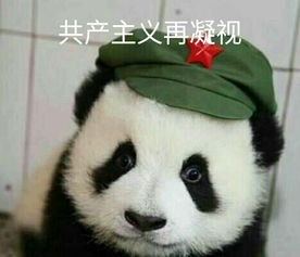 凝的拼音，凝视的拼音组词