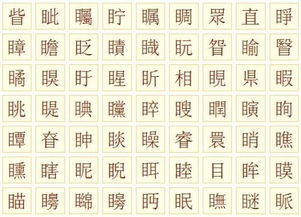 “聚”的偏旁部首是什么?