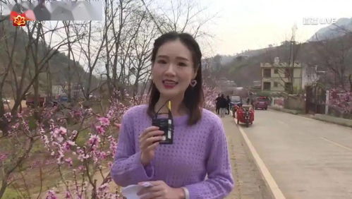 桃林深处有人家_by仗剑红颜_txt全文阅读,百度网盘免费下载