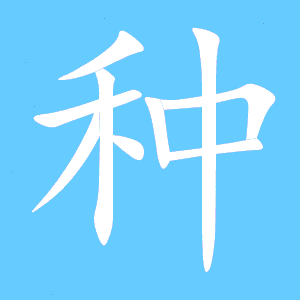 种的笔顺