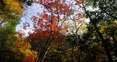 四川南江天气预报一周，四川南江天气预报