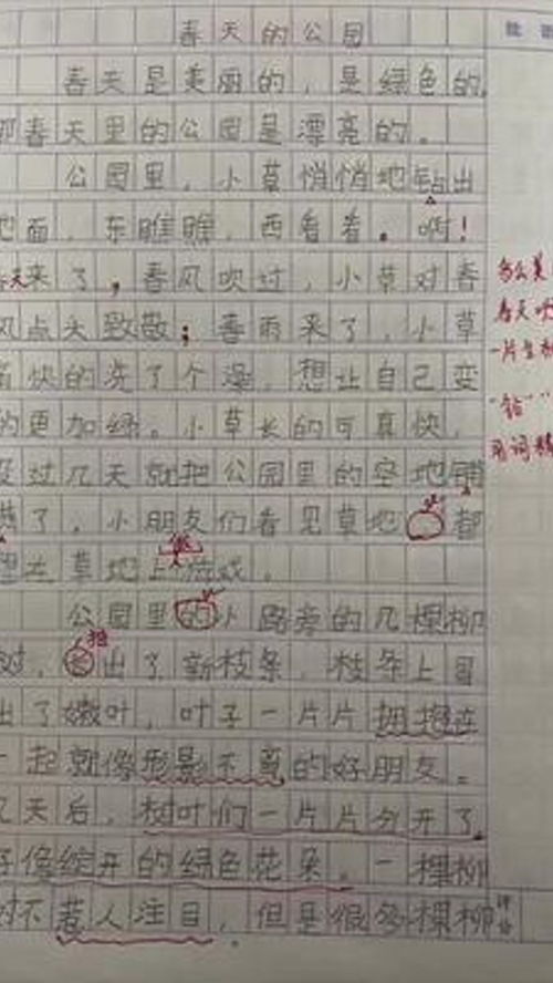 小学六年级作文800字:竞争,让生命更美丽