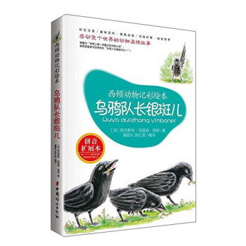 斑的拼音