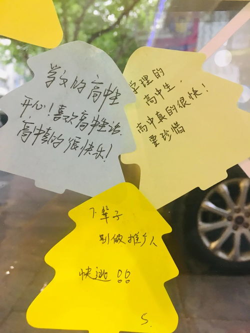 做一件有意义的事500字作文，做一件有意义的事作文600字作文