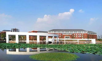 南京职业学院排名，南京城市职业学院