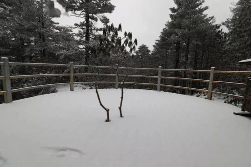 昆明会下雪吗