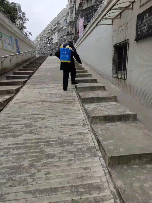 散居的拼音，散居少数民族什么意思