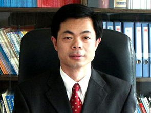 冯夏庭简介，冯夏庭东北大学