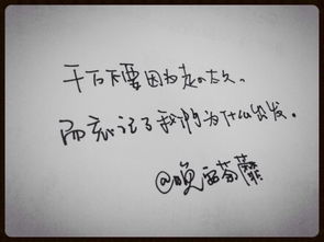 抒情的优美句子摘抄