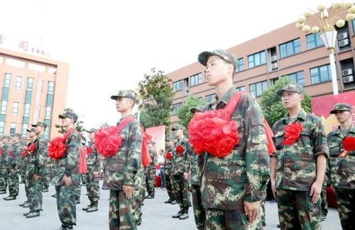 二本毕业当兵有出路吗贴吧，二本毕业去当兵值得吗