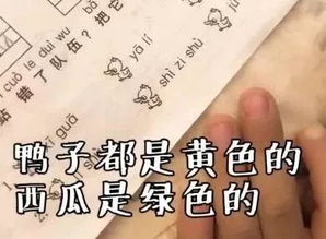 胡然北斗宿,化石落人间。天不生奇石,谁擎万古天,一诗胡然北斗宿出处是什