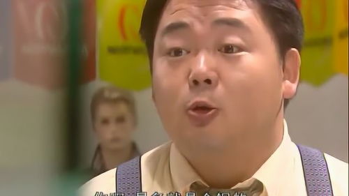 囊囊膪的意思囊囊膪的意思是什么