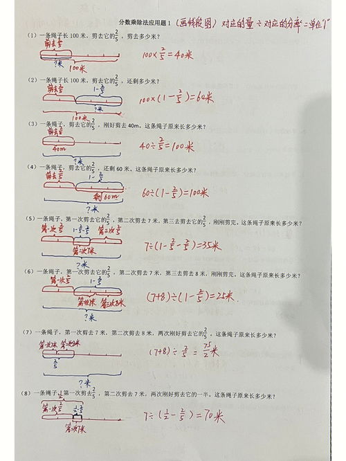分数与除法应用题