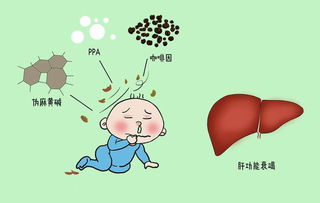 滥用的拼音，滥用职权