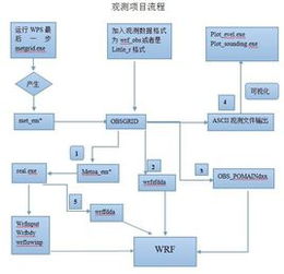 同化名词解释