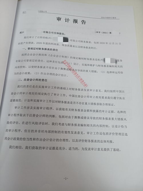 工程审计报告是什么，企业审计报告是什么