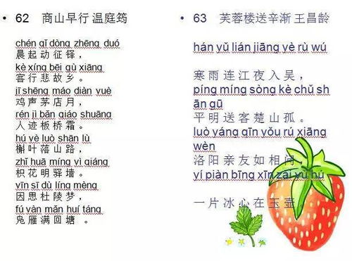 什么是熬夜