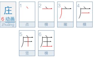 庄的笔顺和组词，度的笔顺组词