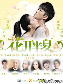 电视剧花开半夏剧情介绍，花开半夏剧情介绍30