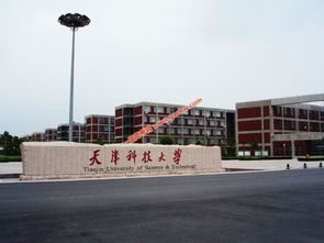 天津科技大学怎么样?就业前景，天津科技大学怎么样划分人才梯队