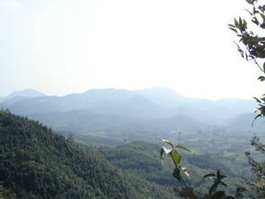 径山茶，径山漂流门票多少钱