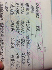 佳词佳句摘抄大全15字