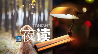 倘使的意思 词语，倘使怎么读音