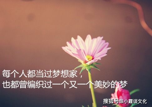 开心生活感悟经典句子简短，生活感悟经典句子简短烦恼