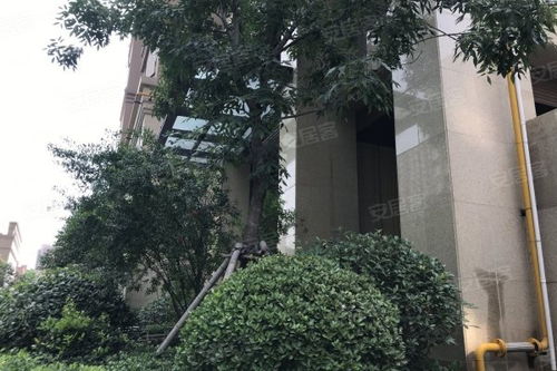 文博花园属于哪个社区，文博花园是双学区吗
