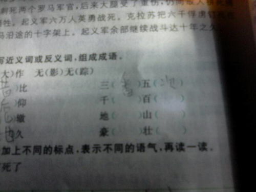 稿可以组什么词?