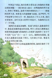 老人与海鸥课文原文分段及段意