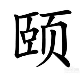 口有什么字